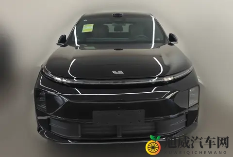 理想L6：男女老少通吃，客户共同点是没有6座需求-3