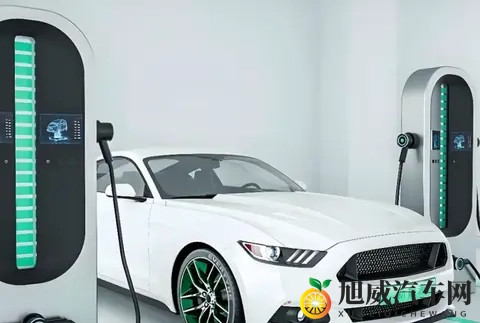 美女插插：性感佳人演绎激情瞬间-1