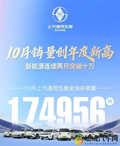 政策因素推动车市分化，主流车企增长乏力，新势力纯电动销量大涨-1