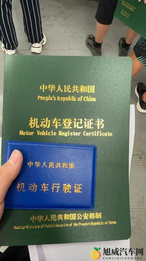 新车上牌如何“高效办成一件事”-3