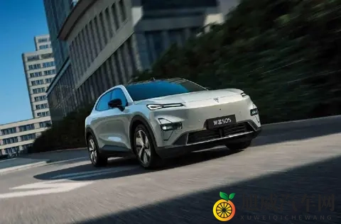 政策因素推动车市分化，主流车企增长乏力，新势力纯电动销量大涨-3