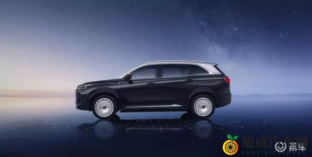 人人天天爽：每日欢愉享不停，人人乐在其中-1