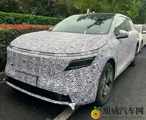 配副驾屏_提供激光雷达_或为中大型SUV 日产N8最新谍照曝光-2