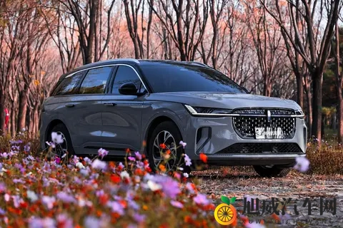 虎白女粉一线天馒头怎么吃：汽车美食新宠，特色馒头搭配攻略大揭秘-2