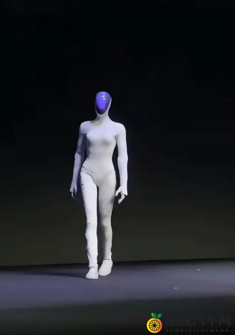 特斯拉VS小鹏：一个练太极一个走猫步，谁才是未来“打工人”？-2