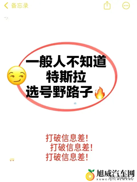 很好用‼️特斯拉选号野路子💯-1