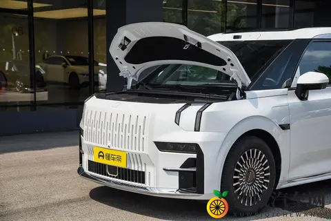 极氪009：宜商宜家豪华MPV，精英家庭优选，11月入手正当时！-3