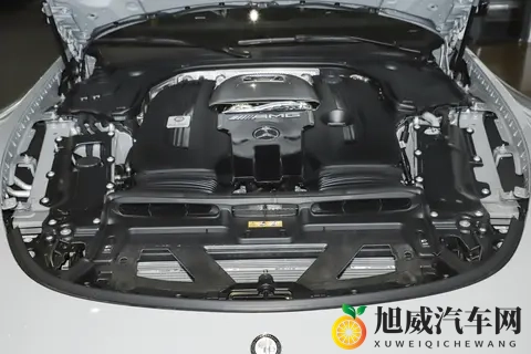 新车 售19248万元_配置调整,新款梅赛德斯-AMG GT 63 4MATIC+上市-1