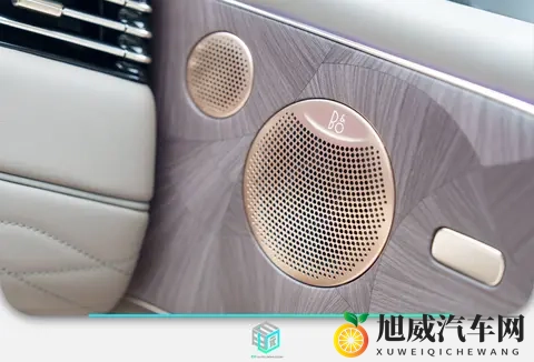 细节满满_堆料十足 智己LS9静态体验-3