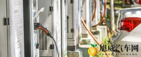 99re6这里只有精品：精选内容汇聚，99re6独领风骚-3