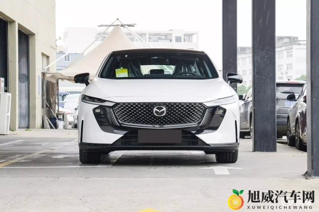 国产乱轮:汽车市场新势力:国产车型崛起,30%份额引关注-1