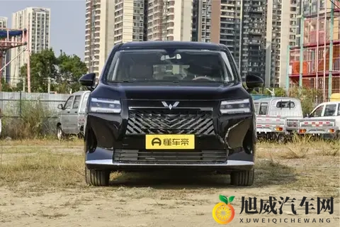家用MPV新选择！7座大空间+三动力，带二胎家庭出游更省心-1
