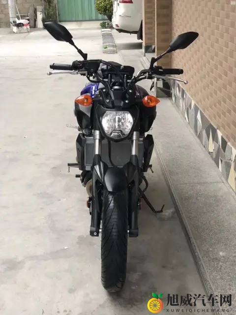 10大摩托车品牌终极解析：哈雷_本田_宝马谁是你的菜？-1