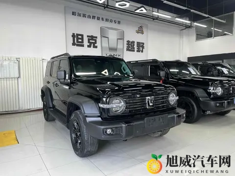 准新坦克300:2万公里,圆你越野梦!-3