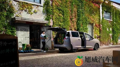 菜农拉货，宝妈带娃，年轻人创业，五菱MPV装下了800万人的生活-1