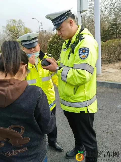 天天操一操：每日锻炼身心，健康生活每一天-3
