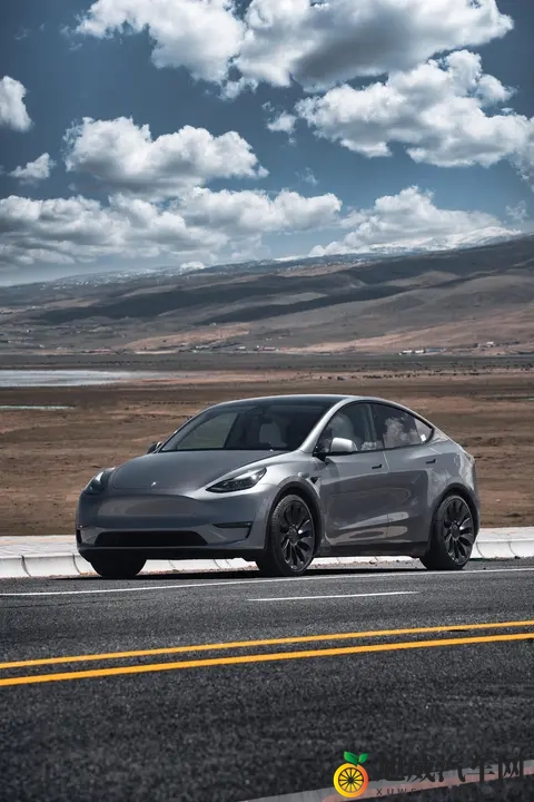 特斯拉欧洲销量暴跌近九成，马斯克遭遇至暗时刻-1