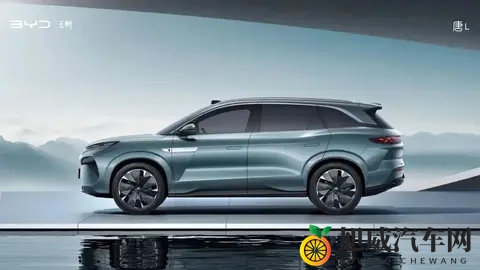 新时代观察｜60天倒计时，车企年度销量目标大考：比亚迪稳了-1