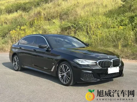 一手准新宝马5系，20T也能优雅从容，宜商宜家！-1