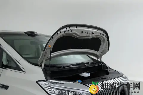 家用MPV可以选它，2858万，配23个音响，喝92粗粮-3