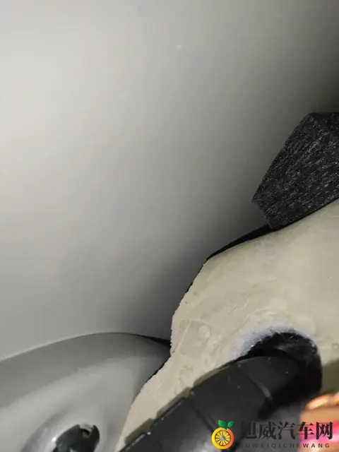 艳女app下载:性感美女应用一键下载-2