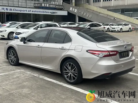 商务旅行973蘑菇影视最新版介绍：出差神器升级！轻松观影，旅途不孤单-3