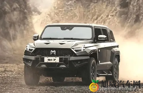 买车总踩坑？车企多品牌战略揭秘 新手也能选对车-2