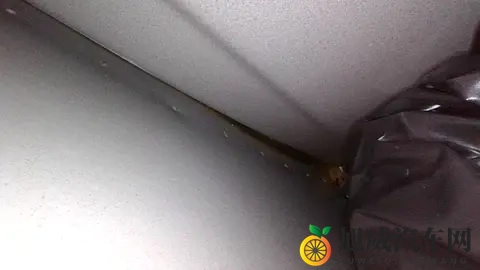 竞争比亚迪秦PLUS DM，惠后688万起，7款怎么选-1