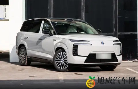 www在线：新能源汽车崛起，汽车市场新趋势一览-3