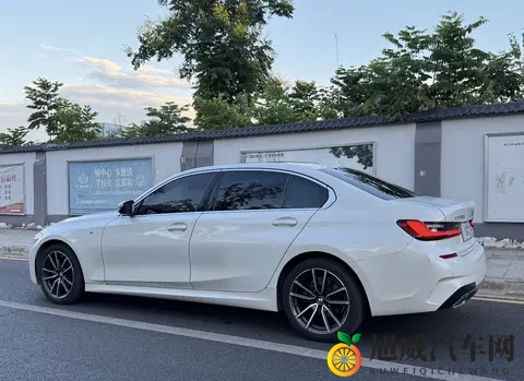 稚嫩花苞被黑人开了：新能源汽车竞争加剧，创新与保护如何平衡？-3