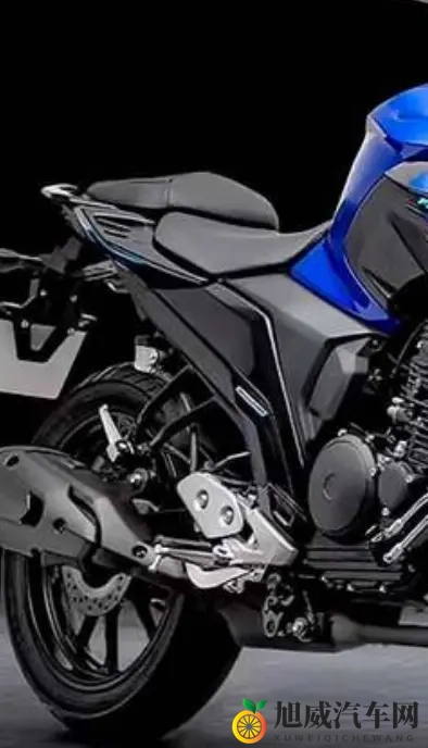 雅马哈飞致250复出 拼的不是马力 是省油能走天下的底气-2