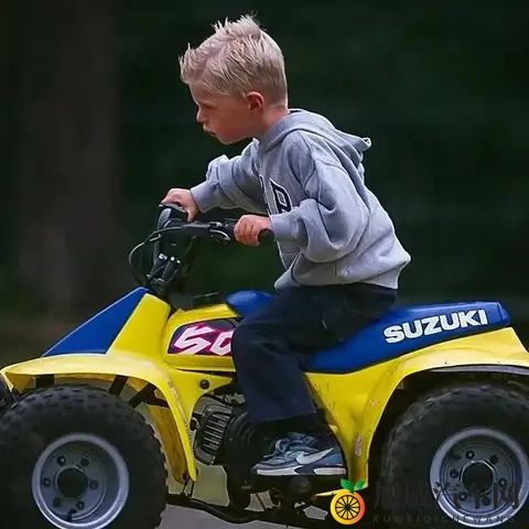 F1人物传：围场里最疯狂的人——马克斯·维斯塔潘-3