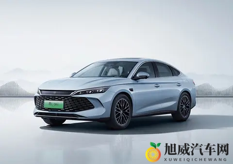 电动车市占率冲6成，老司机死磕到底，99%车主不再回头-1