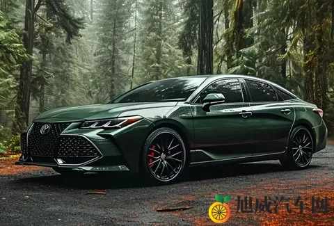 丰田亚洲龙：家用商用都靠谱，省心省油的中型车选择-2