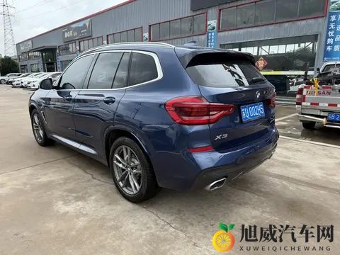 国产成人激情:新能源驱动,国产轿车、SUV新势力崛起-2