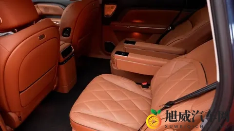 岚图泰山静态体验，都有哪些亮点？-2