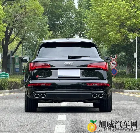 奥迪SQ5四十几万落地却乏人问津 燃油情怀撞上新能源浪潮全记录-2