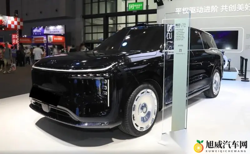 大菠萝官网海纳百川：大菠萝官网，广聚资源，共享盛宴-1