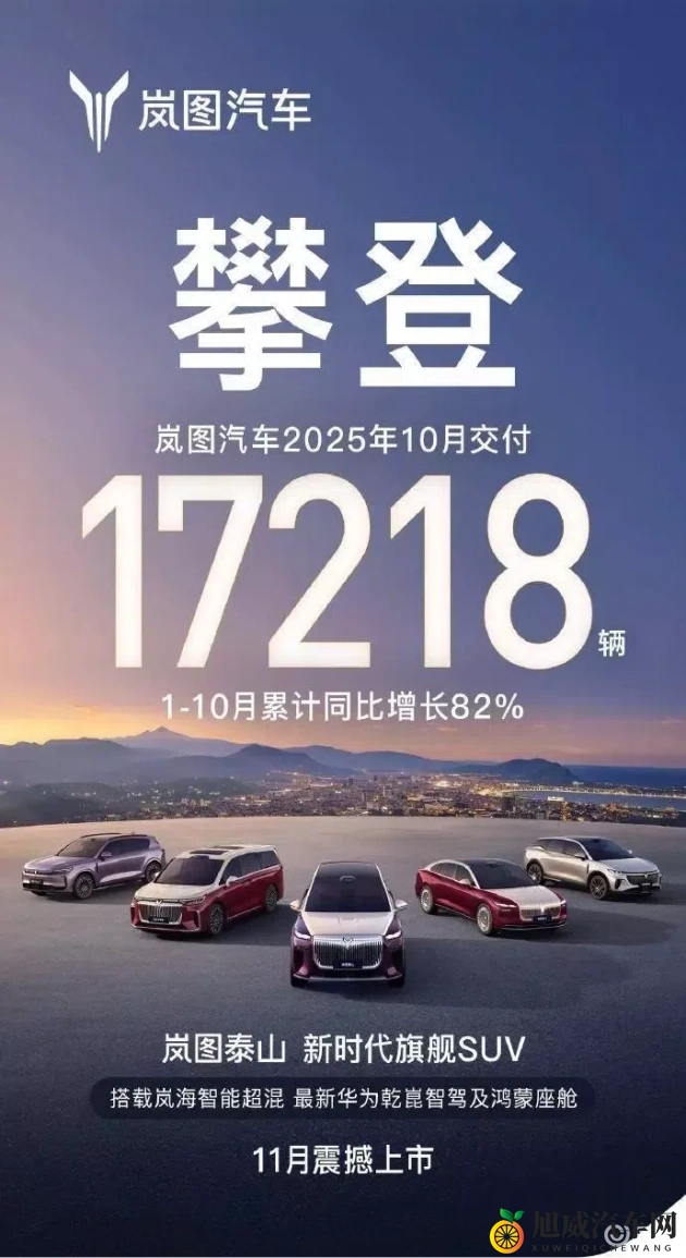 岳今晚让我玩个够肥水一体探：汽车新秀：肥水一体探，深度体验揭秘-1