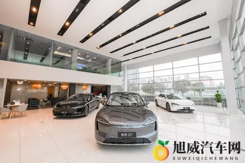 干成人网：新能源汽车补贴调整，行业变革新趋势-2