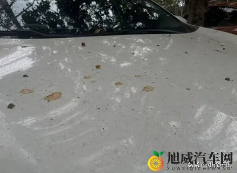 10个致命养车误区，90%车主都中招！做好这些让爱车多开5年!-2