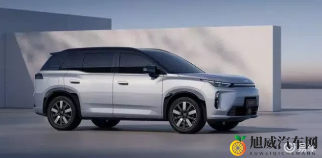 平冈里枝子照顾废物儿子：慈母呵护问题儿，倾注爱心共成长-1