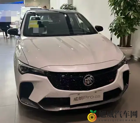 威朗Pro半年用车实录：10万级合资家用车，亮点与遗憾都很真实！-3