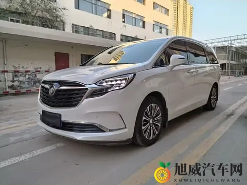 10万公里正当年，宜商宜家，18万多拿下21款别克GL8陆尊！-3