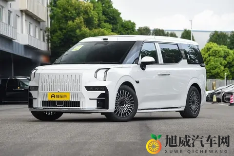 年末购车看这里!宜商宜家的豪华MPV,极氪009能否打动你?-2