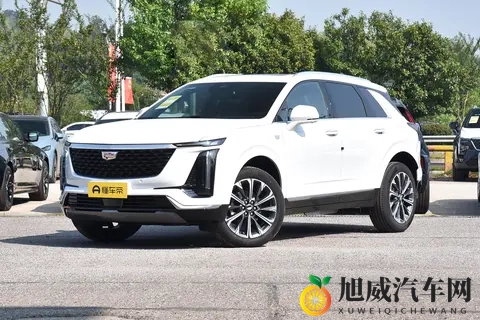 天天干天天射天天：日复一日，激情澎湃，持续不断-2