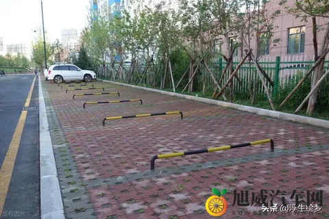 十大黄软件：盘点热门不良应用排行榜-3