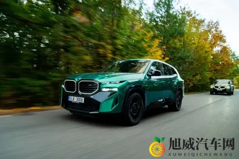 宝马XM车队携10辆炫酷座驾亮相-2