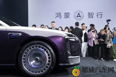 尊界S800断层领先！国内70万以上超豪华轿车10月销量排行榜公布-2