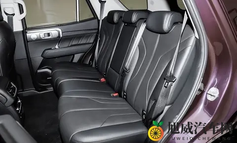 2498万起售 全新坦克400携全动力科技矩阵登陆硬派SUV市场-2